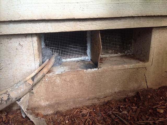 Foundation Vent Repair-Keep Critters Out